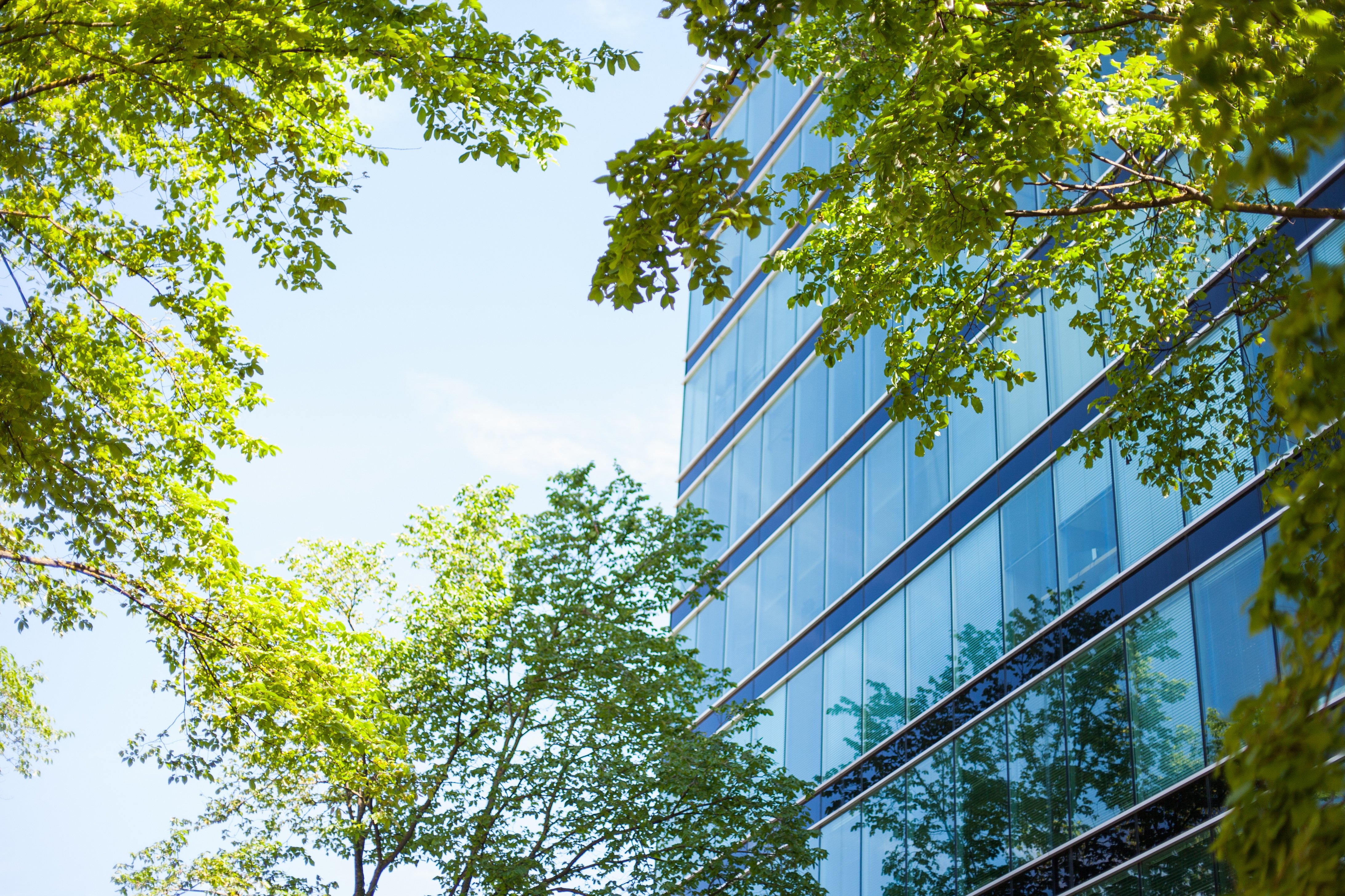 AdobeStock_115864871-2