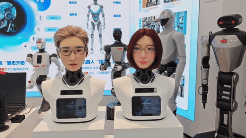 Noetix Robotics 1