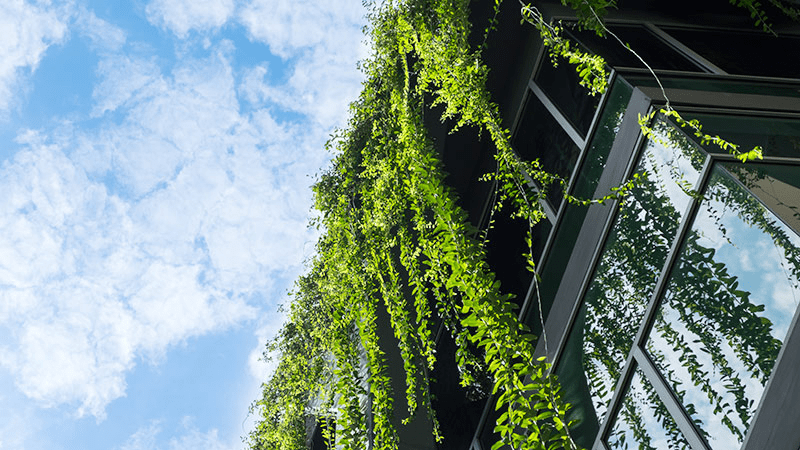 DE_Immobilienmanagement_10_09_Klimaschutzfahrplan_08_Green-Lease_AdobeStock_206679241